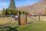 121 Rattlesnake Ln - Photo 43