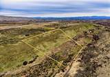 270 Snowy Owl Ln - Photo 6