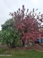 168802 Johnson Rd - Photo 46