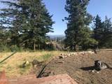 421 Morrison Canyon Ln - Photo 13