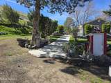710 Adobe Way - Photo 1