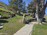 710 Adobe Way - Photo 20