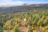 TBD Hwy 97 Ave - Photo 1