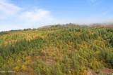 TBD Hwy 97 Ave - Photo 10