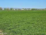 TBD Green Valley Rd - Photo 1