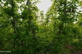 370 Macy Rd - Photo 70