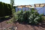 1805 70th Ave - Photo 15