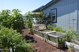 1805 70th Ave - Photo 16