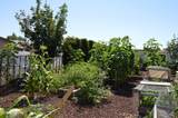 1805 70th Ave - Photo 17