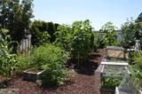 1805 70th Ave - Photo 18
