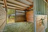 131 Latigo Ln - Photo 10