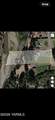 280 Bedrock Ln - Photo 63