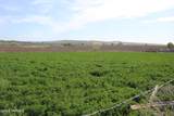 6992 Van Belle Rd - Photo 13