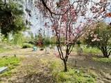 1465 Cook Rd - Photo 33