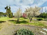 1465 Cook Rd - Photo 34