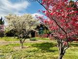 1465 Cook Rd - Photo 35