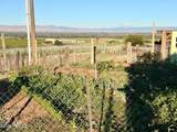 5060 Lombard Loop Rd - Photo 42
