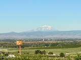 5060 Lombard Loop Rd - Photo 8