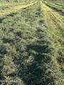 14530 Rutherford Rd - Photo 22