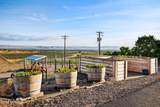 5060 Lombard Loop Rd - Photo 39