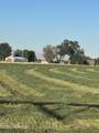 14530 Rutherford Rd - Photo 5