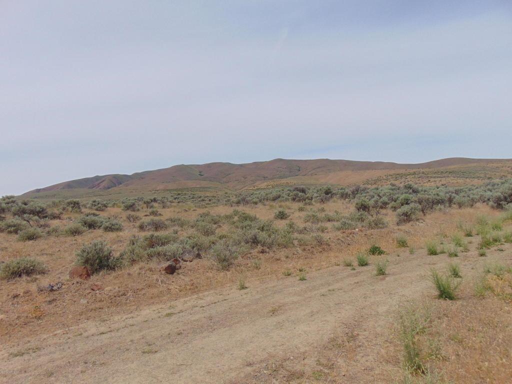 NNA Conrad Rd - Photo 1