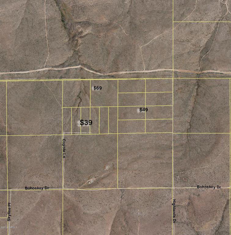 NNA Coyote Ln - Photo 1