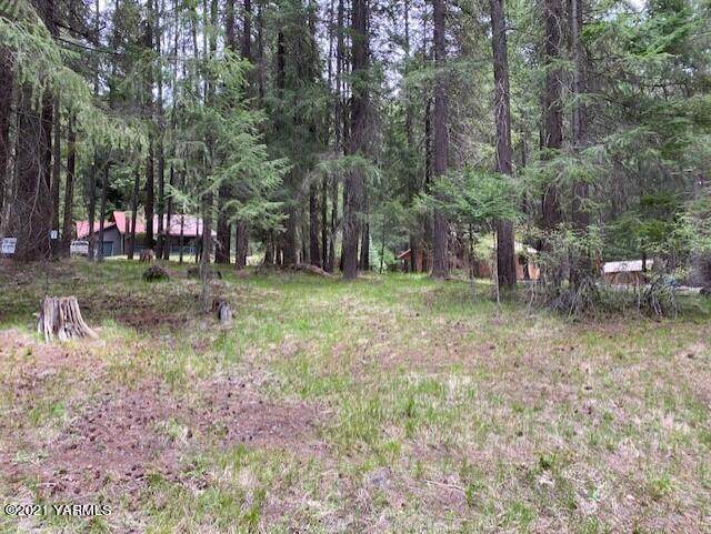 120 Cliffdell Ln - Photo 1