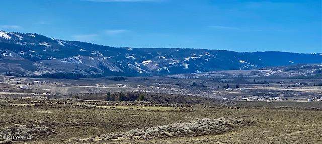 NKA Ahtanum N. Fork Rd - Photo 1