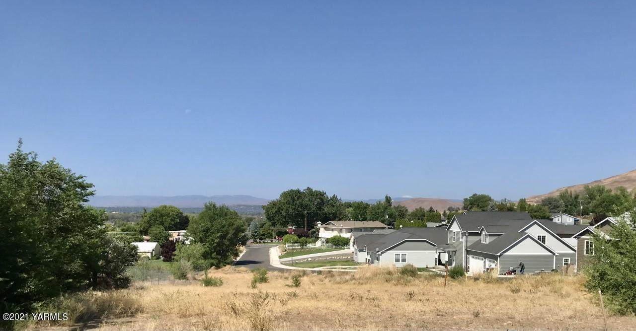 Lot Oster Dr - Photo 1