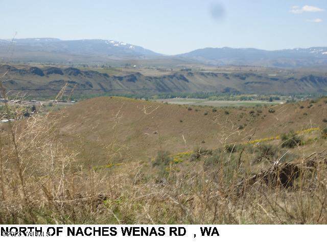 NNA Clemans Dr - Photo 1