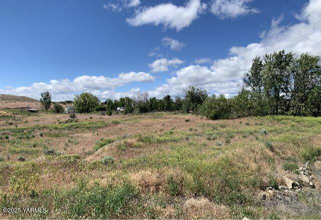 NKA Summitview Rd - Photo 1