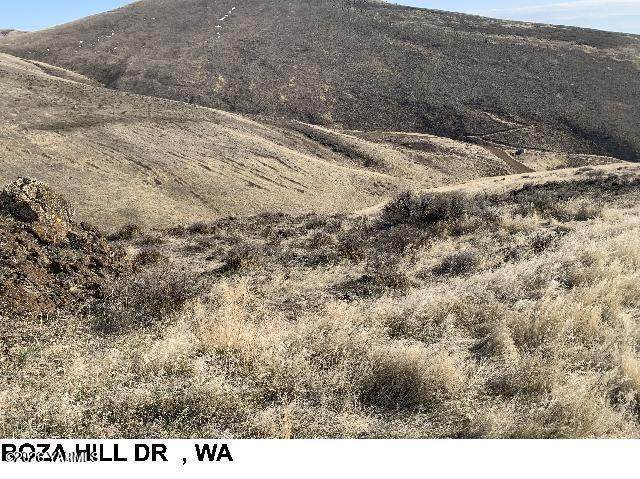 NKA Roza Hill Dr - Photo 1