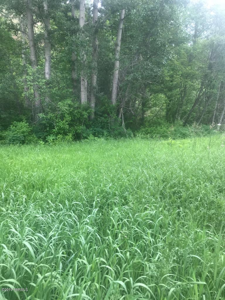 NNA Hwy 410 - Photo 1