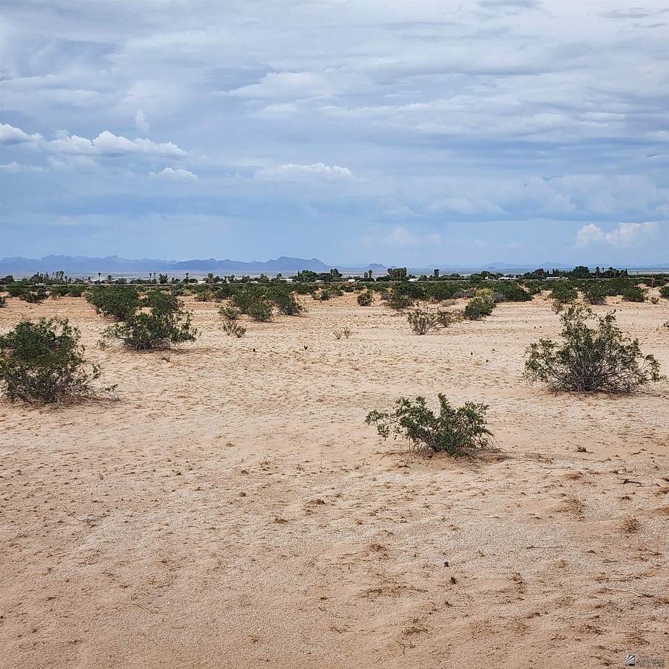 38290 Turquoise - Photo 1