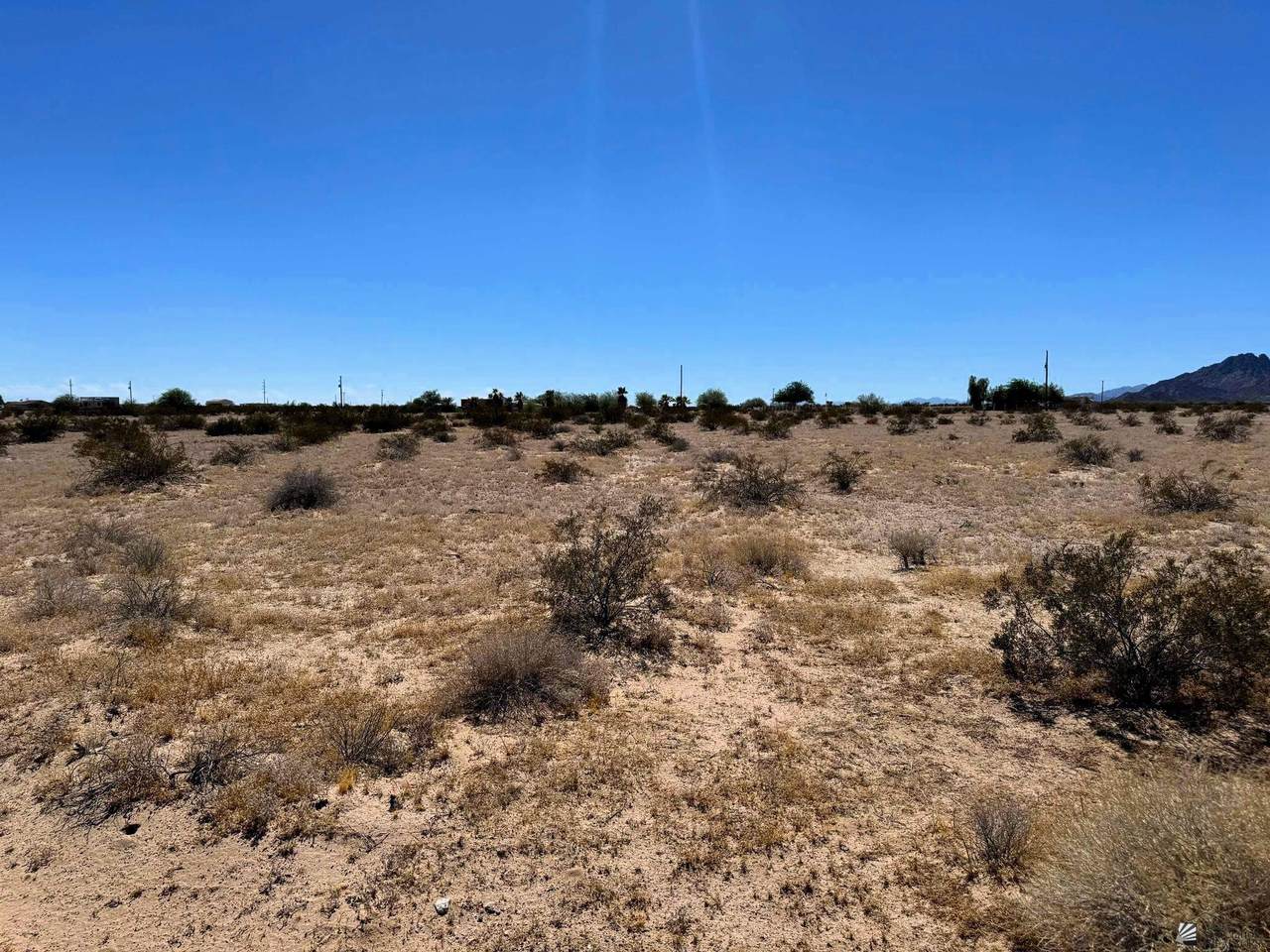 37651 Gold Dust Dr - Photo 1
