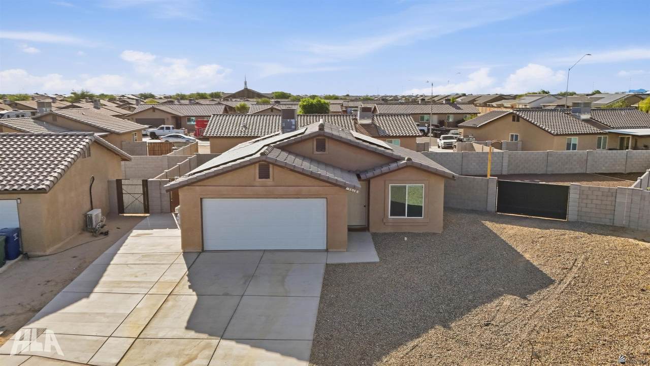 3618 Cactus Wren - Photo 1