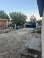 3362 Mandarina - Photo 12