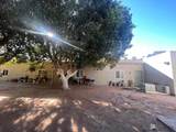 224 Somerton Ave - Photo 18