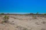 13848 Butterfly Way - Photo 13