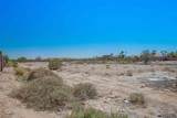 13848 Butterfly Way - Photo 14