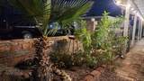 13883 47 LN - Photo 6