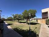 2901 Palo Verde Ln - Photo 17