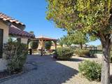 10842 Via Salida - Photo 4