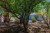 10550 Del Golfo - Photo 29