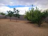 5341 30 PL - Photo 7
