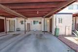 2901 Palo Verde Ln - Photo 25