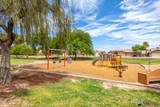 7735 Olive Ann Ln - Photo 36
