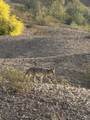 9701 Critter Ln - Photo 25