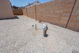 10374 Avenida Compadres - Photo 8